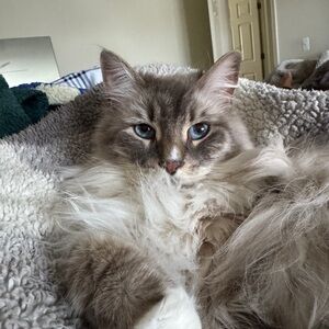 Meet your Posher, Xuan